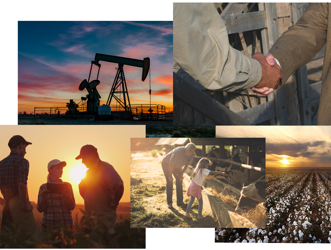 Scenes from rural life, for all your insurance needs